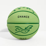 Gecko Mini Baskeball