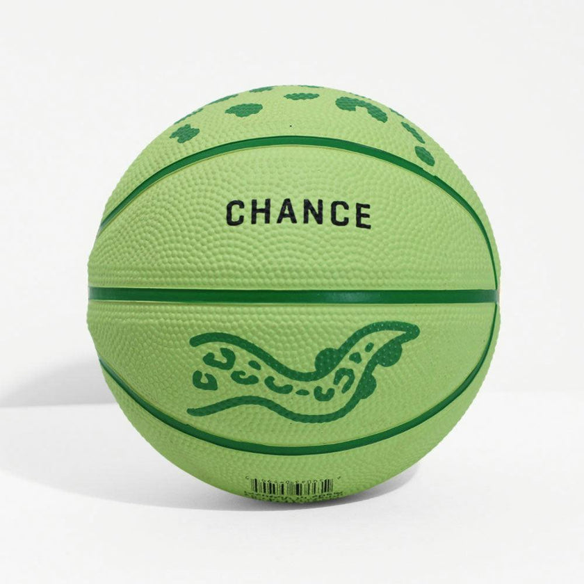 Gecko Mini Baskeball
