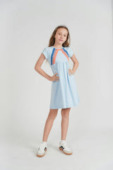 Multi Color Stripe Dress