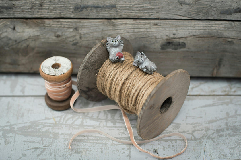 Miv & Nulle Cats