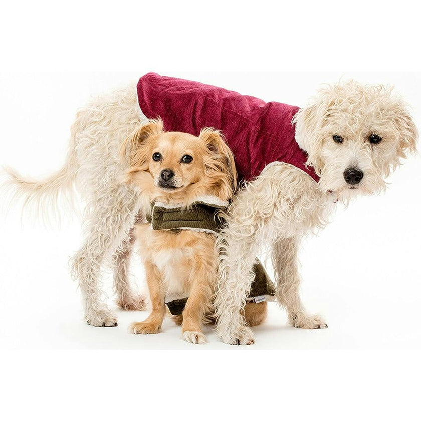 Modern Classic Coat, Burgundy