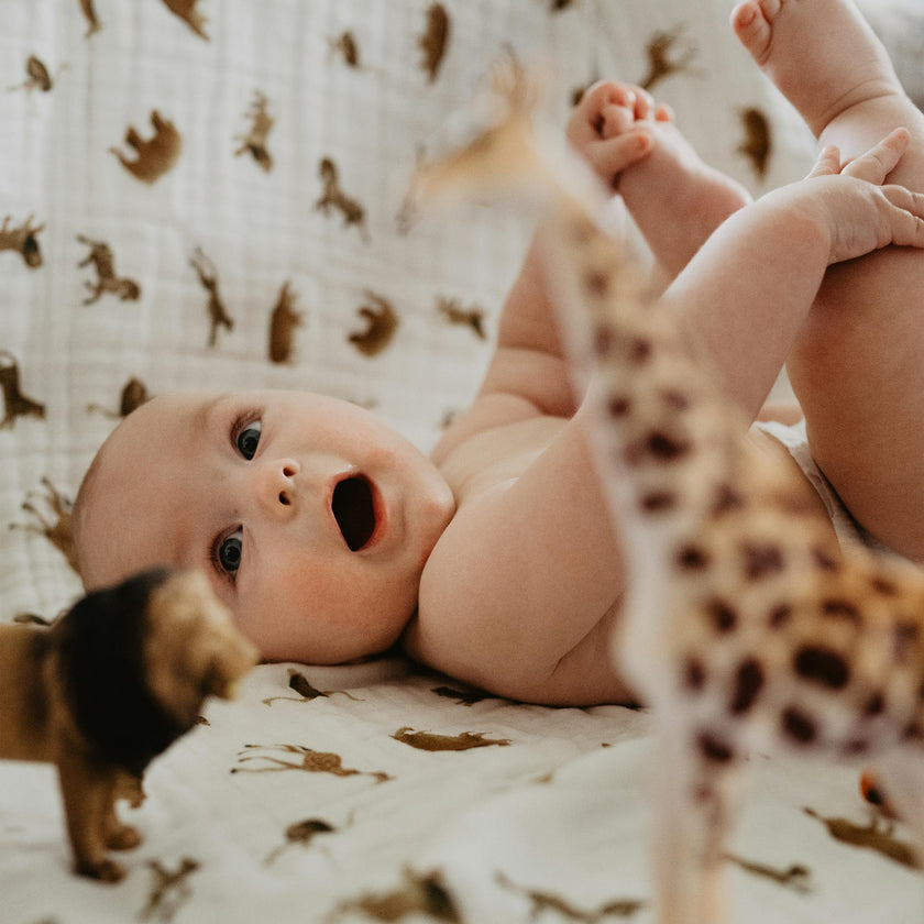 Organic Cotton Muslin Quilted Throw - Animal Crackers