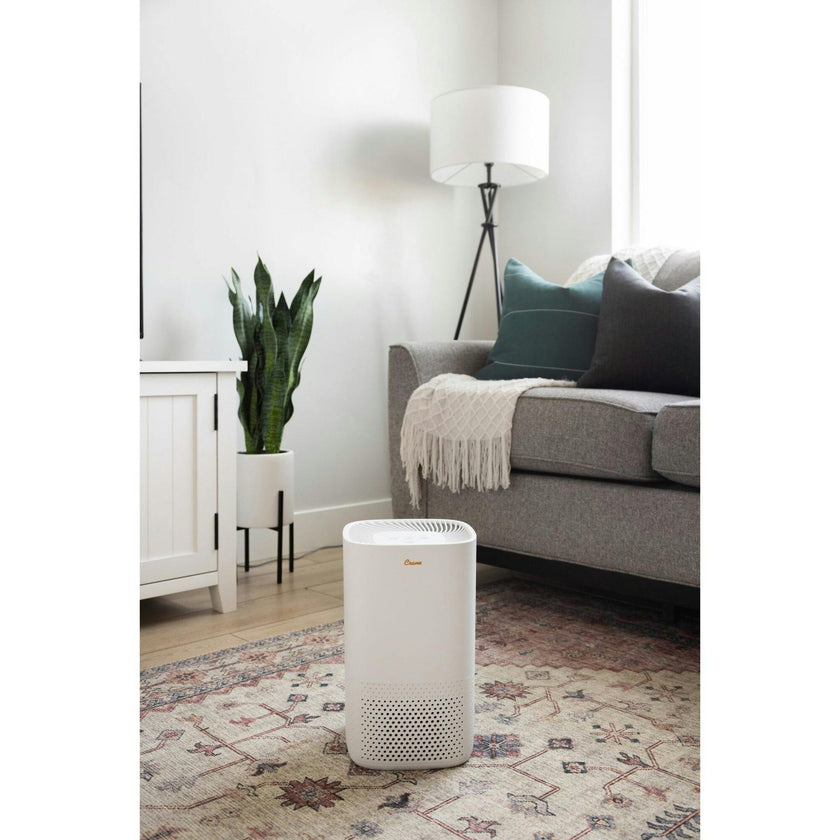 Air Purifier with True HEPA Filter – Quiet