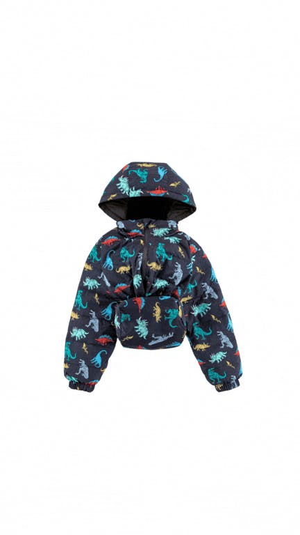 Blake Hooded Reversible Lightweight Down Puffer Jacket, Dinosaur Dudes