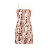 Davie Pink Disco Sequin Dress