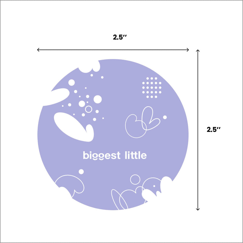 All-in-One Baby Ball Set of 2 for Sensory Bath & Play