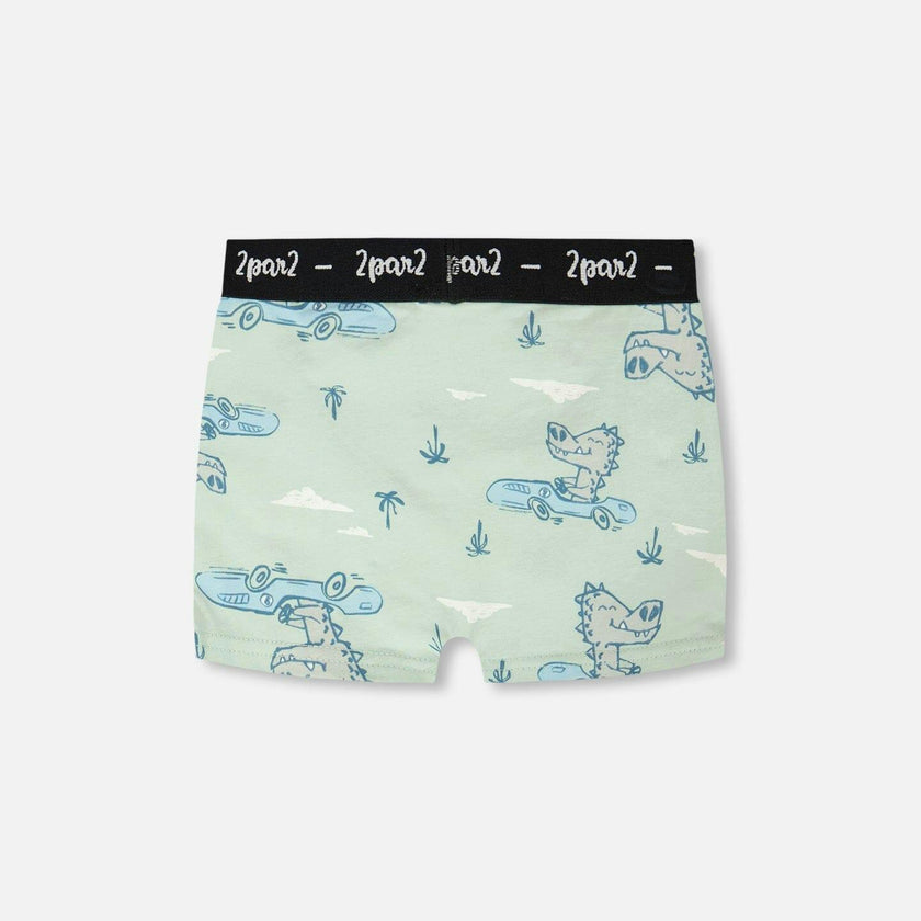 Organic Cotton Boxer