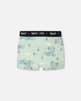 Organic Cotton Boxer