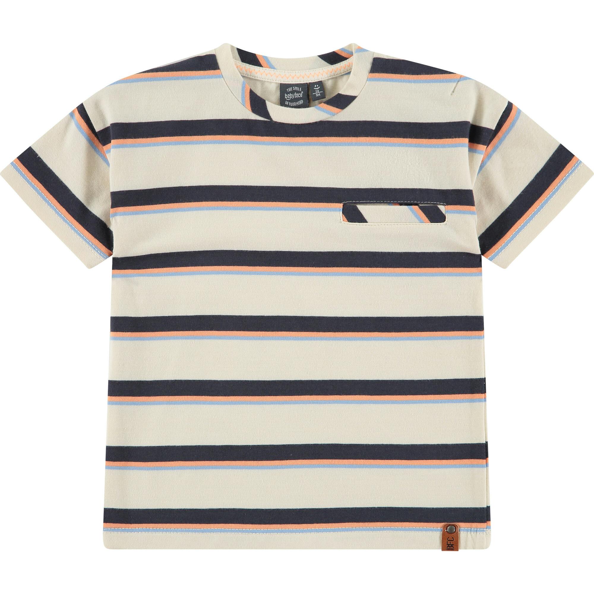 Multi Colored Stripe T-Shirt