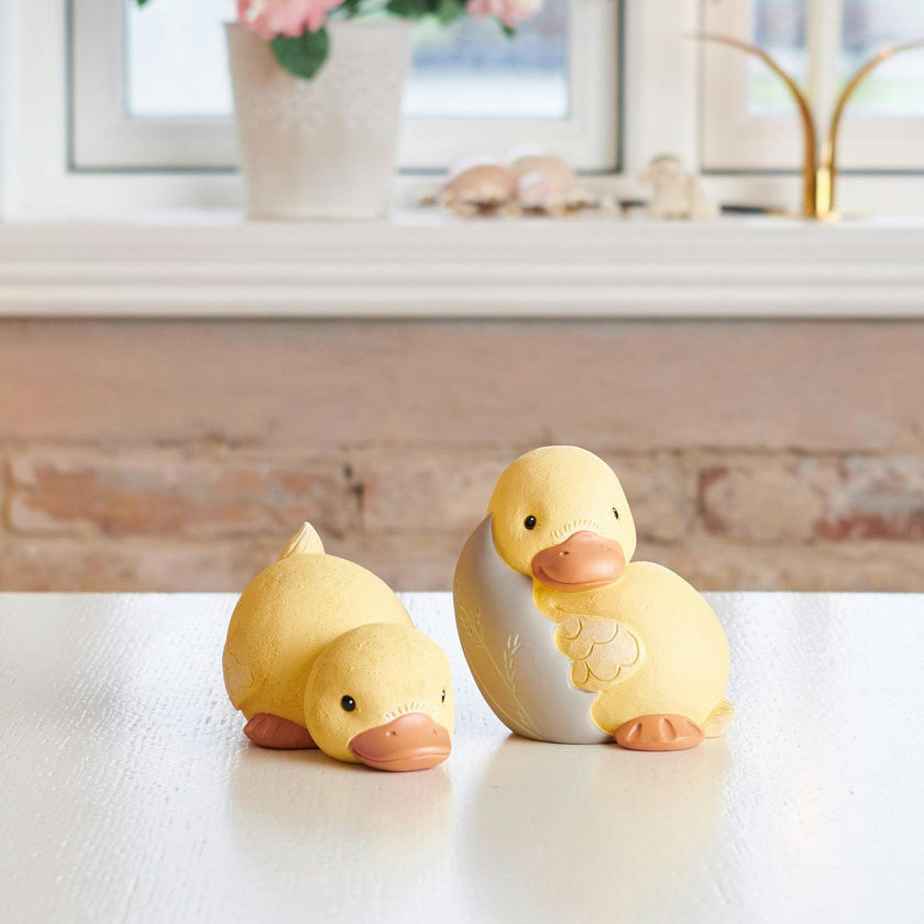 Snappe Duckling