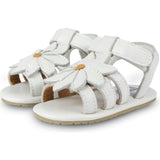 Tuti Fields Sandals | Daisy | Off White Leather