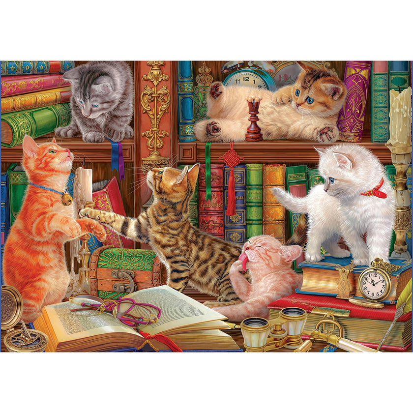Library Kittens - 1000 PC Puzzle