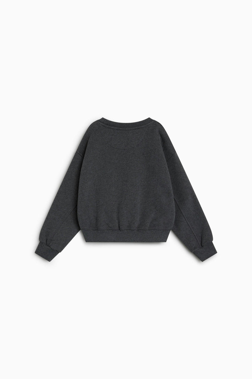 TNS Logo Sweatshirt Dark Grey Melange