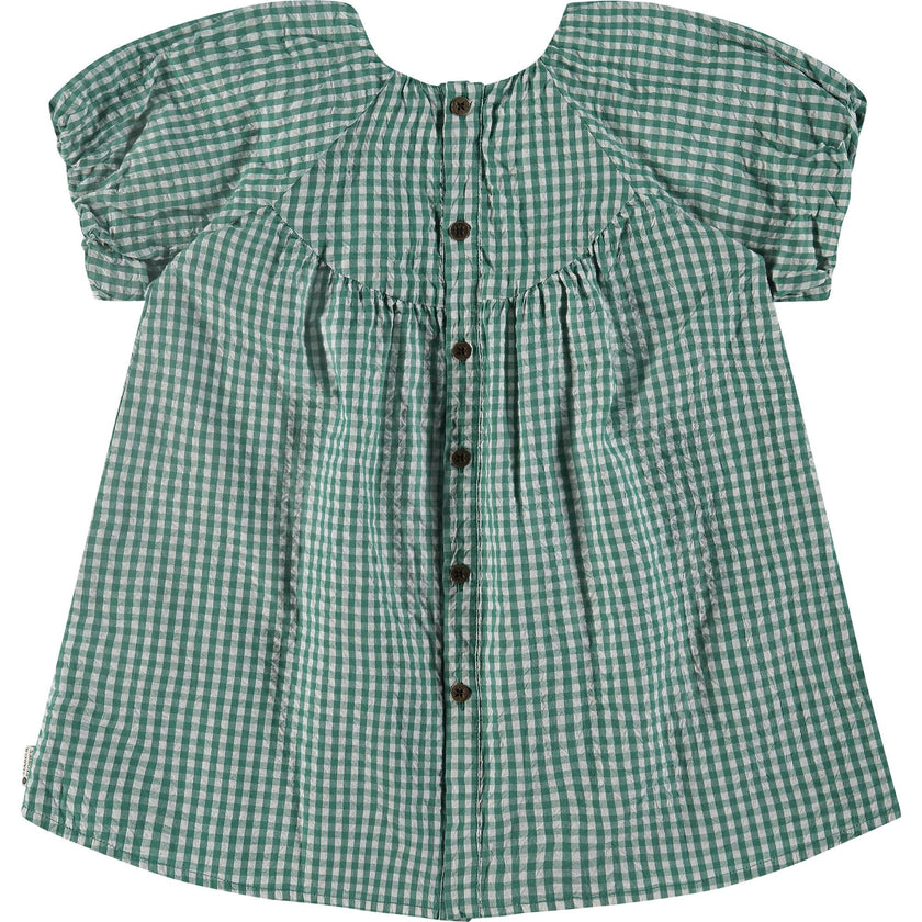 Gingham Dress