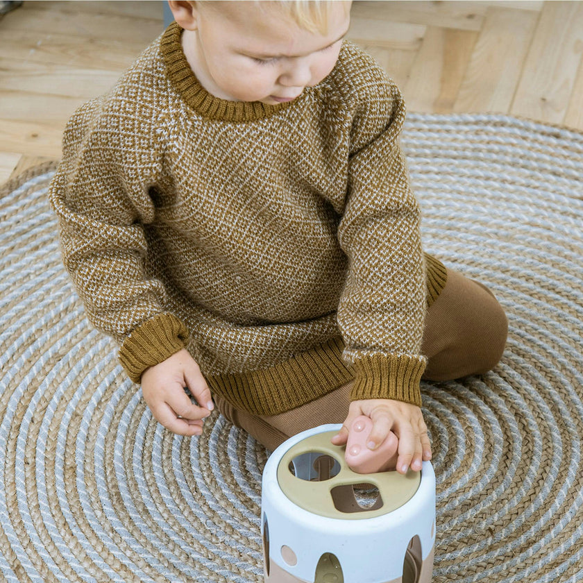 Tiny BIO: Shape Sorter