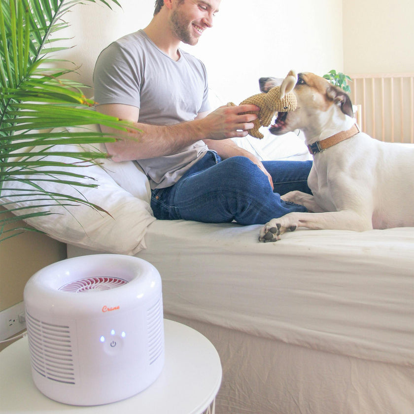 Air Purifier with HEPA, For Small Rooms