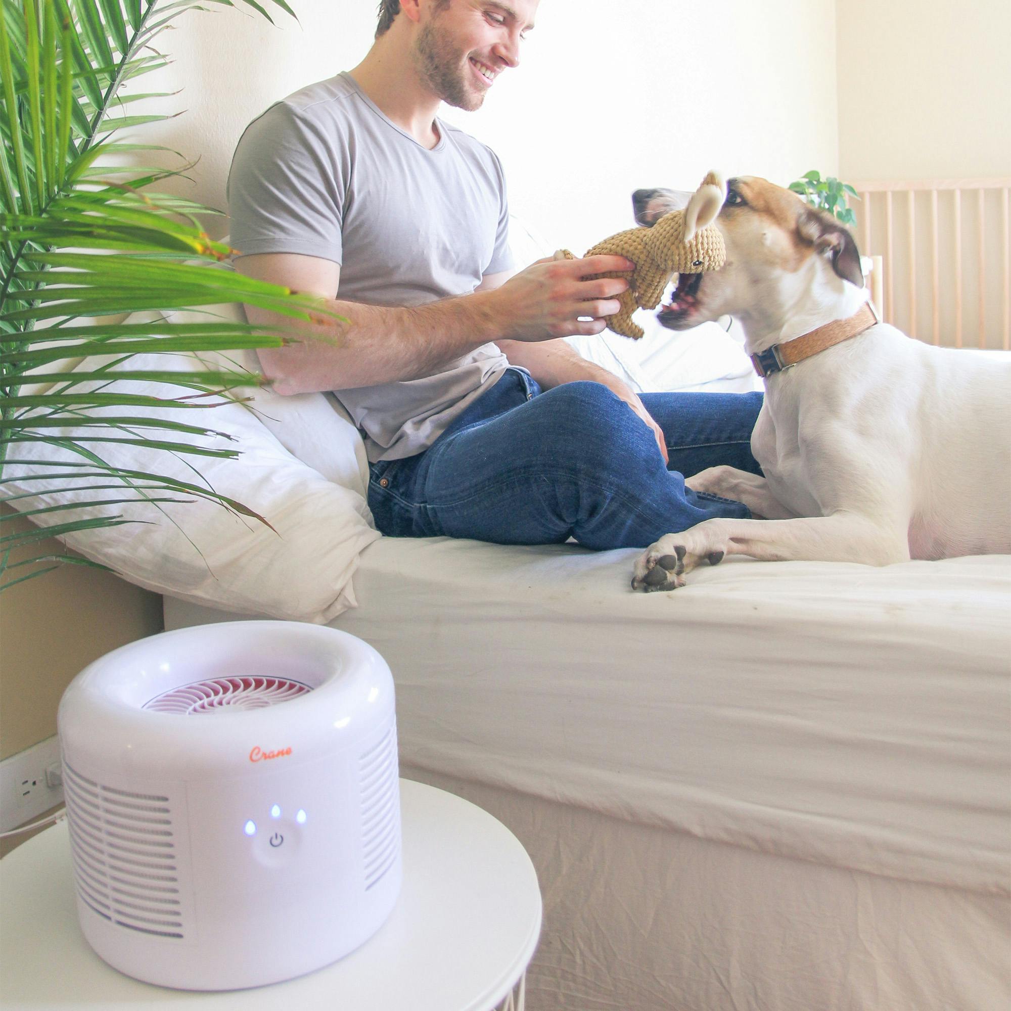Air Purifier with HEPA, For Small Rooms