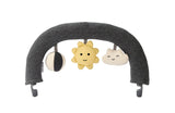 Toy for Bouncer