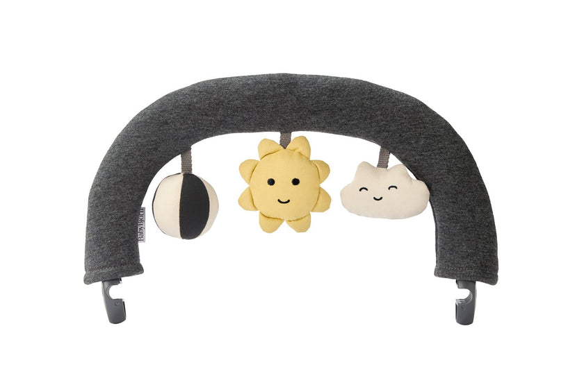 Toy for Bouncer