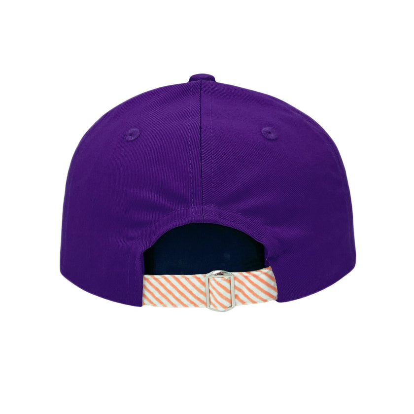 Officially Licensed Clemson Baseball Hat (Youth)