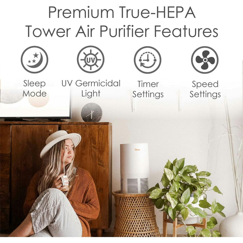 Air Purifier with True HEPA Filter – Quiet