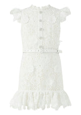 Lucinda Embroidered Mini Dress