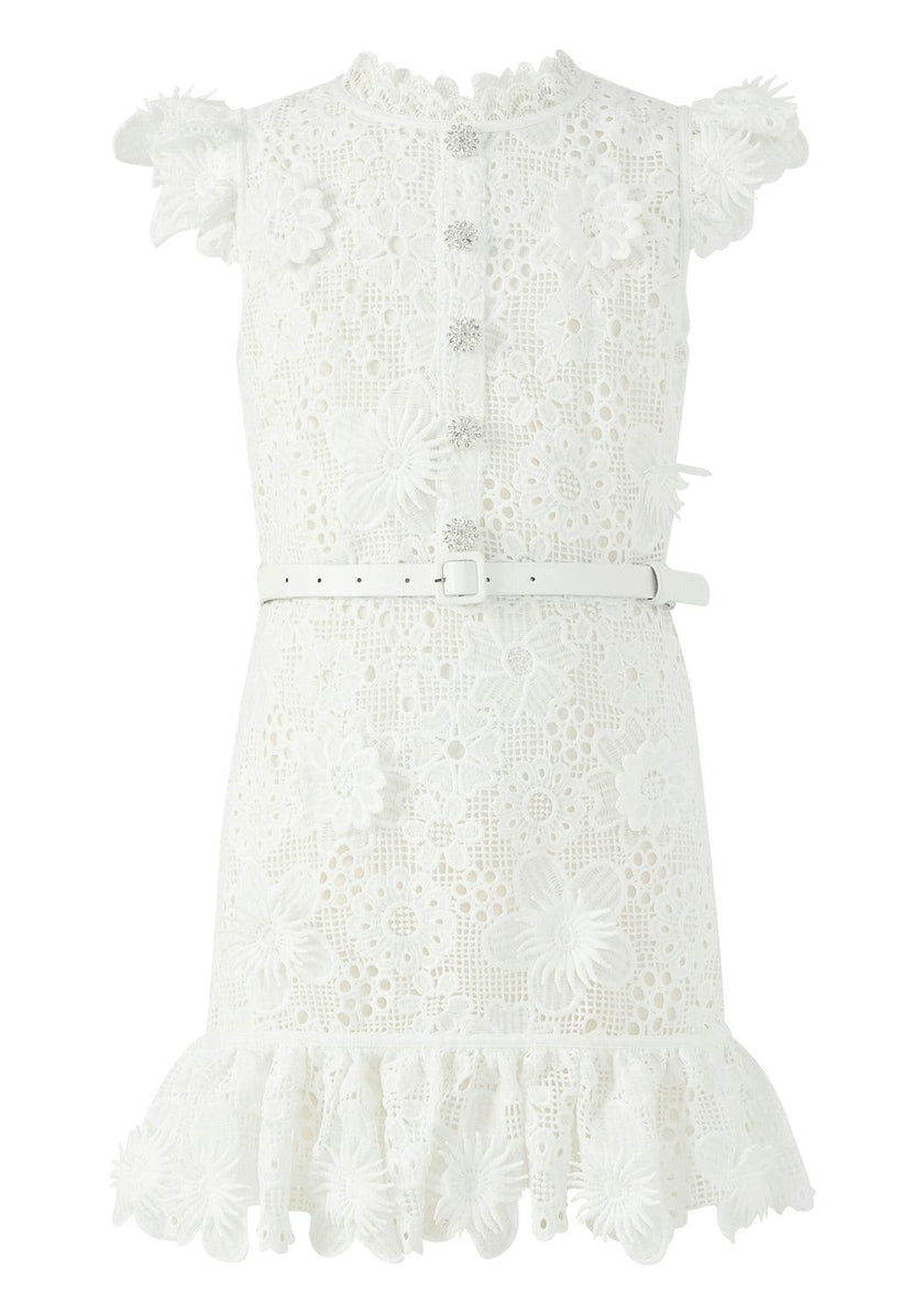 Lucinda Embroidered Mini Dress