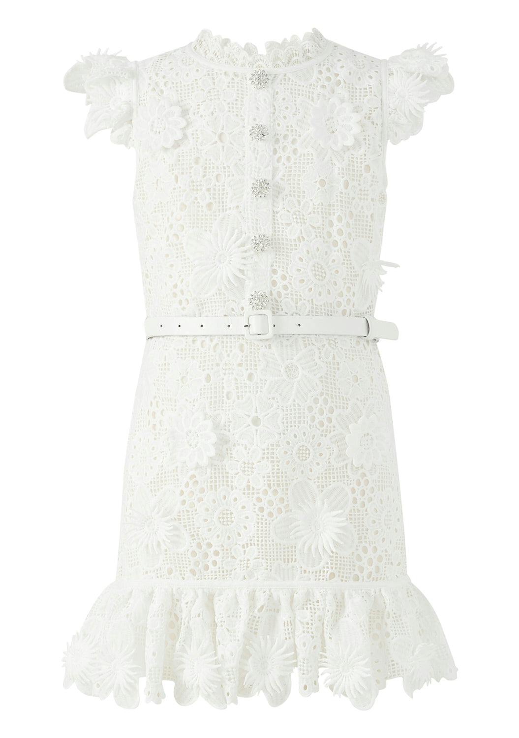 Lucinda Embroidered Mini Dress