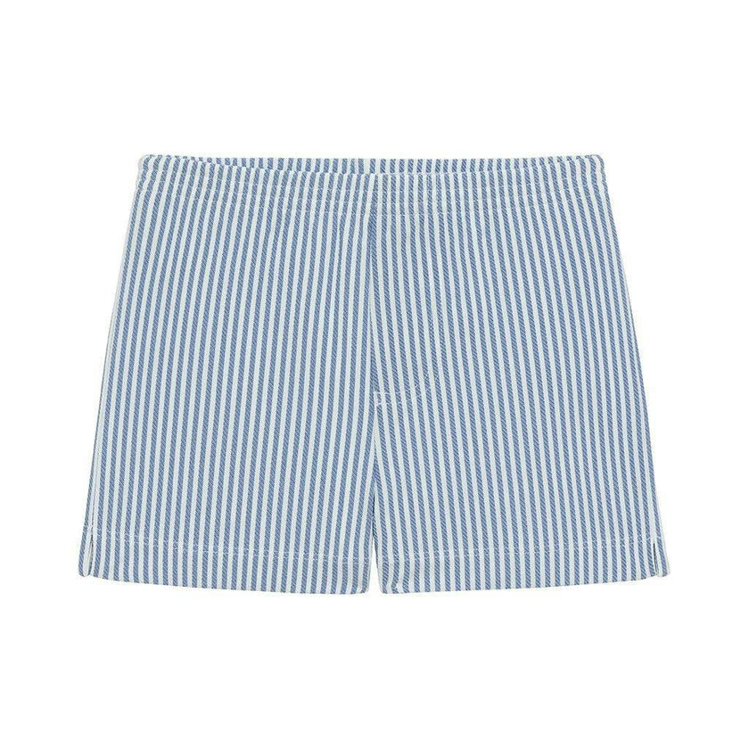 Classic Blue Stripe Mini Swim Trunk