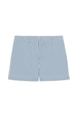 Classic Blue Stripe Mini Swim Trunk