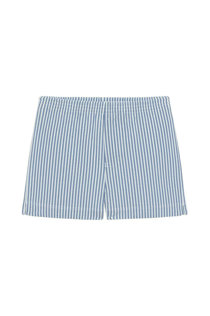 Classic Blue Stripe Mini Swim Trunk