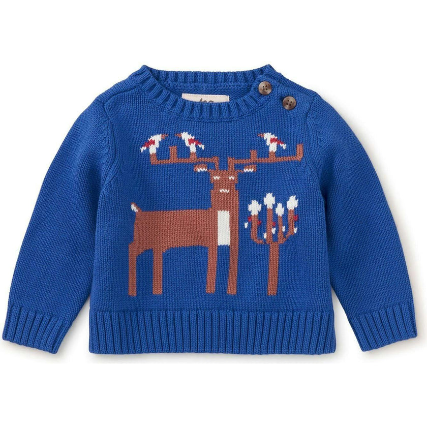 Baby Sweater, Blue