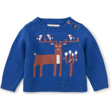 Baby Sweater, Blue