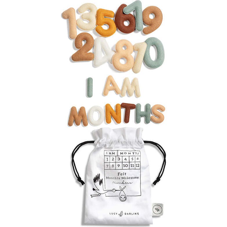 Milestone Felt Numbers in Neutral
