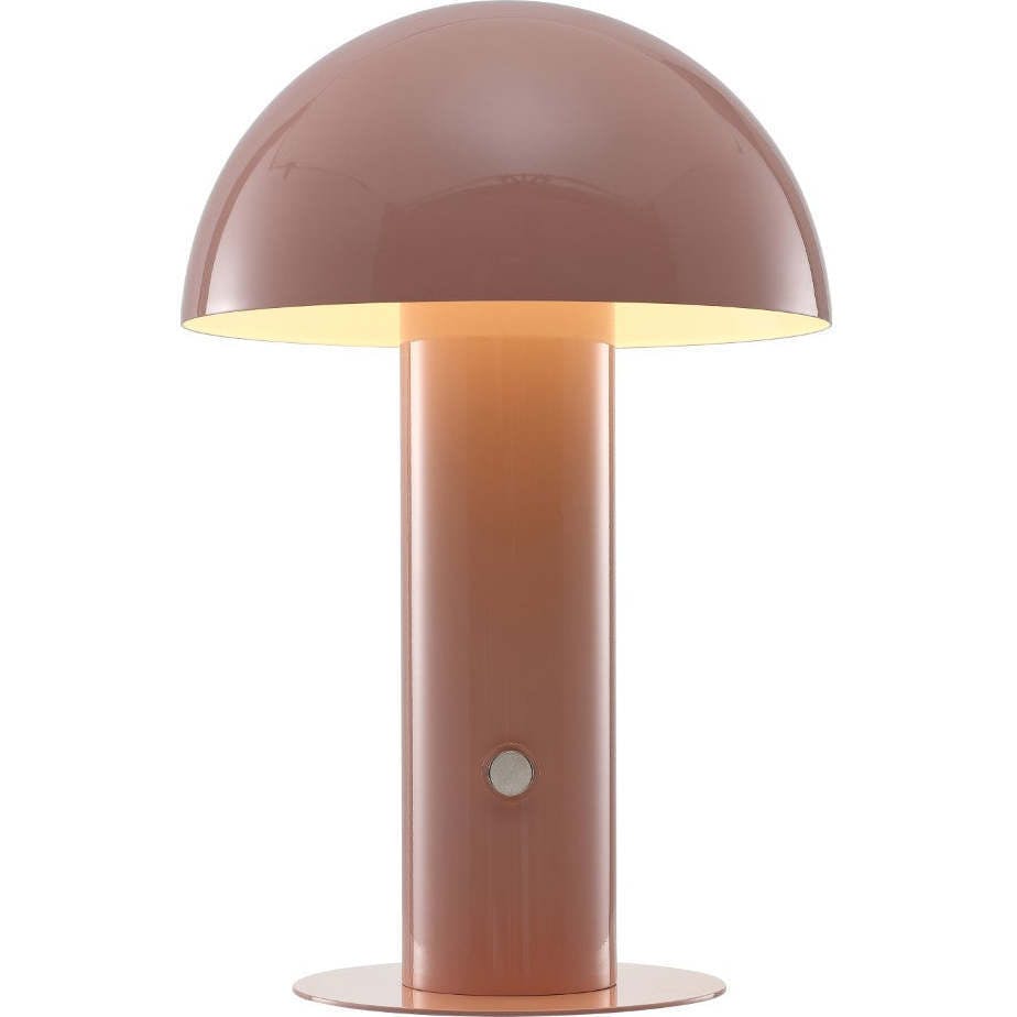 Boletus 10.75