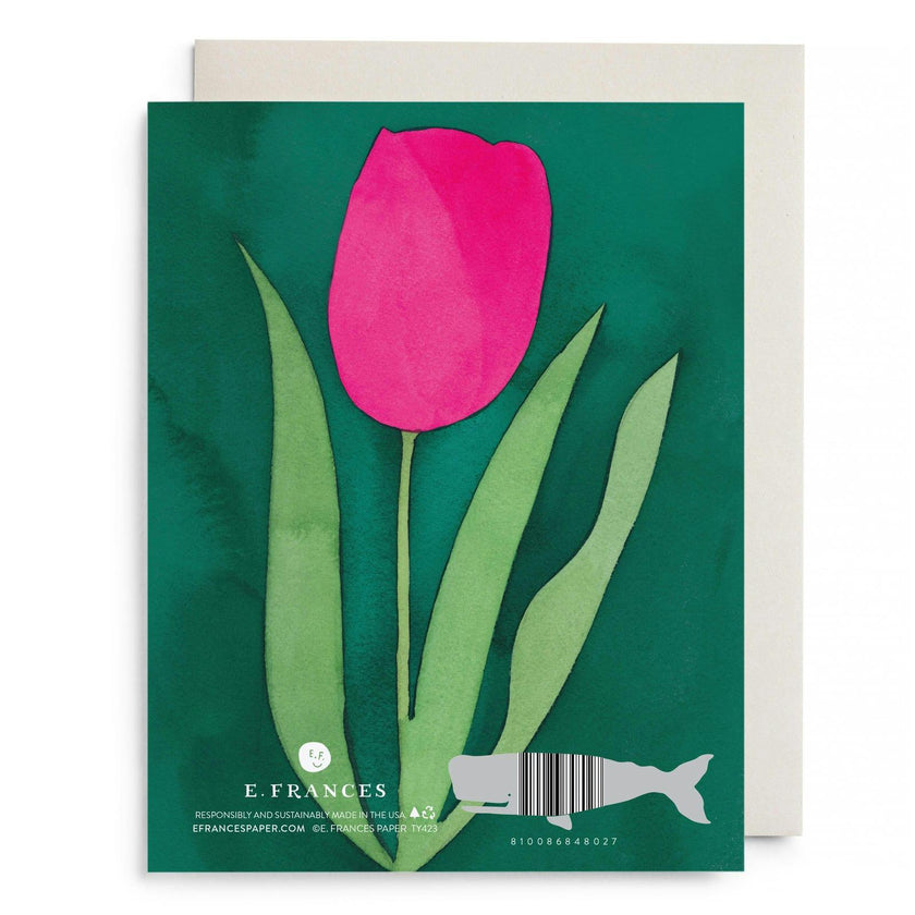 Pink Tulip Thank You Boxed Set