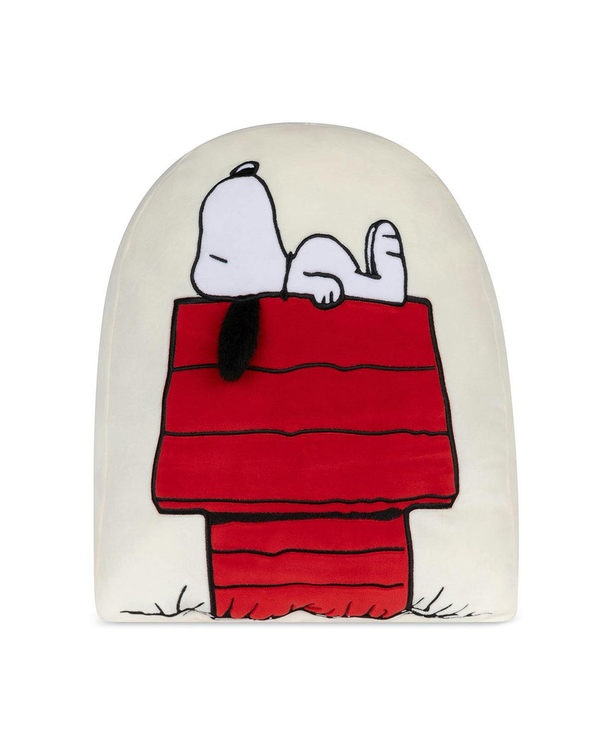 Pillow Peanuts Doghouse