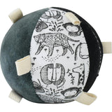 Wild Taggy Ball
