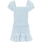 Milou Dress Blue Mini Roses