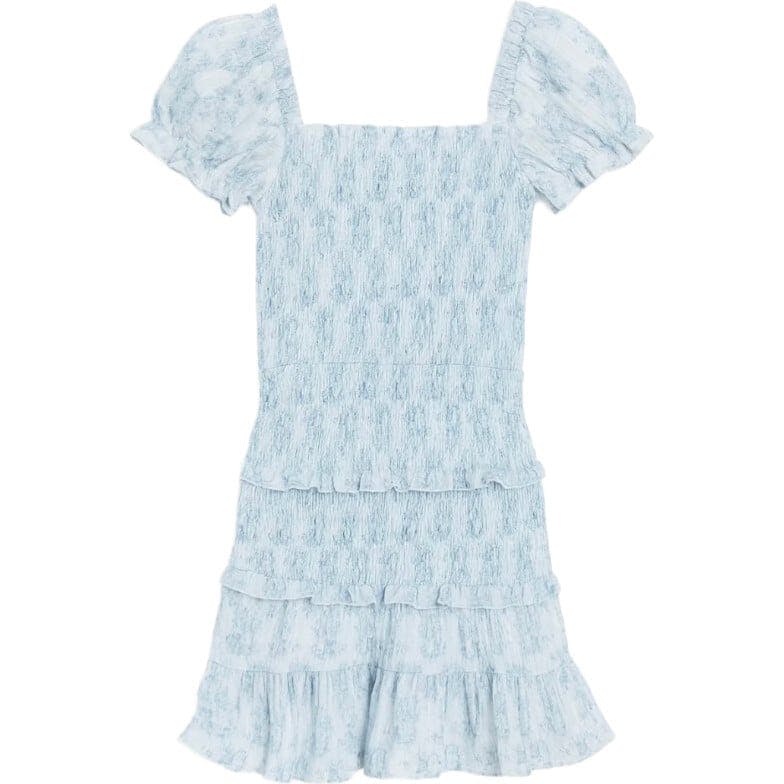 Milou Dress Blue Mini Roses