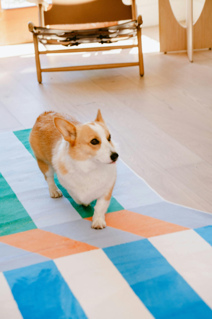 Illusion Stripe Modern Rug