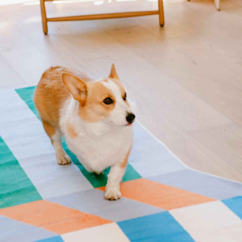 Illusion Stripe Modern Rug