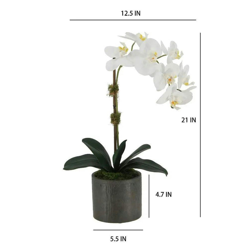 21" White Phalaenopsis Orchid in Textured Pot