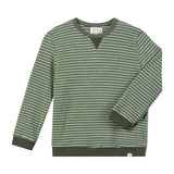 TARQUIN  sweatshirt green/cream  brushed stripe
