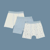 Boys Boxer Brief Blue 3pc Set