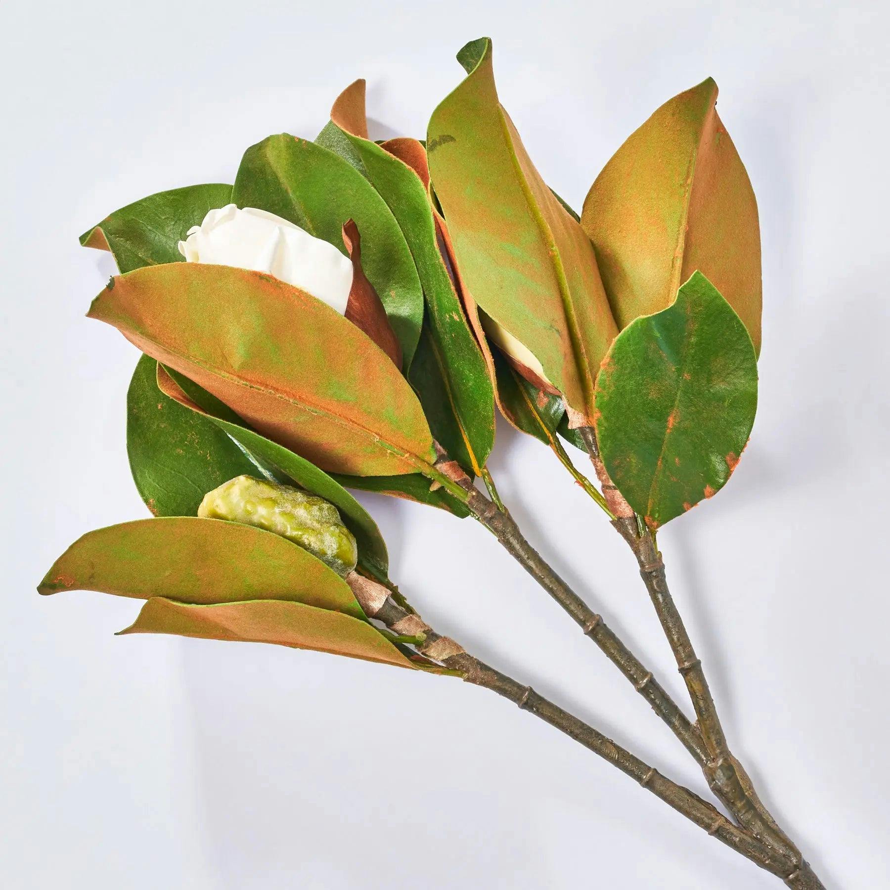 Real Touch Large Magnolia Bud Large Branch Stem 31
