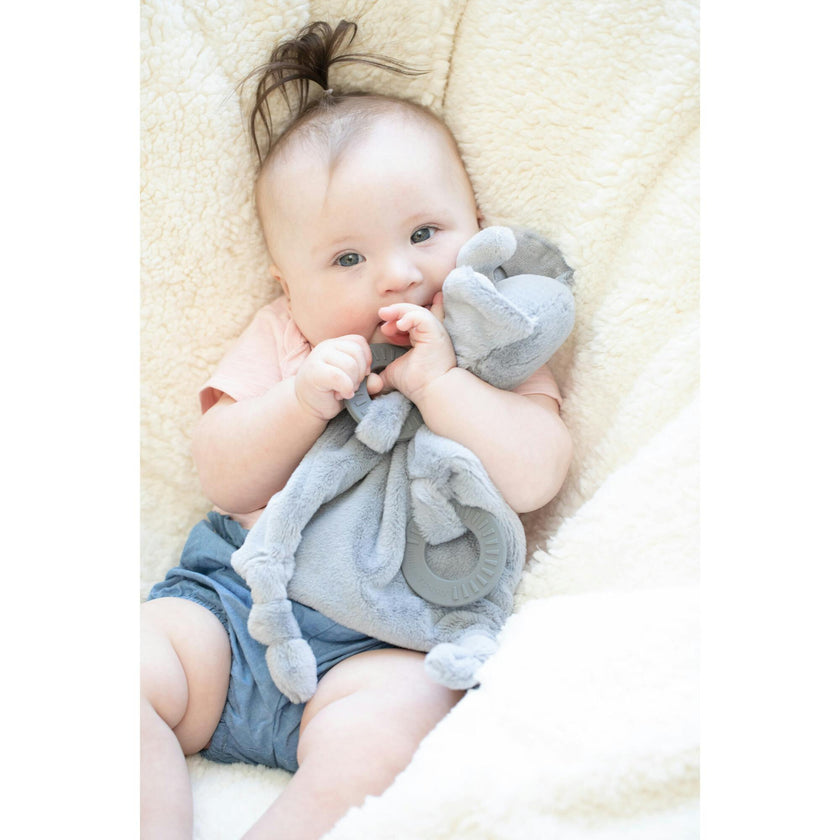Teether Buddy