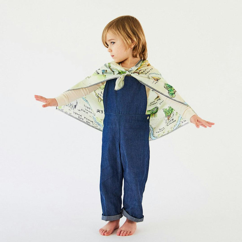 Sarah's Silks 100 Aker Woods Seek & Find Playsilk for Maisonette