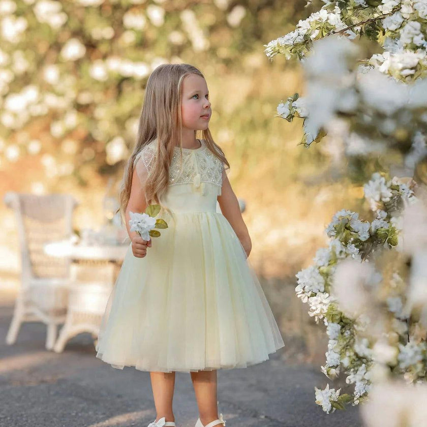 Buttercream Belle Dress