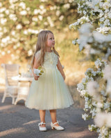 Buttercream Belle Dress